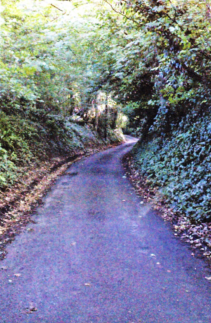 The ancient sunken lane which leads from Nibley Green to the battlefield The ancient sunken lane which leads from Nibley Green to the battlefield