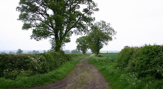 Top of Humber Lane on the Stoke battlefield Top of Humber Lane on the Stoke battlefield