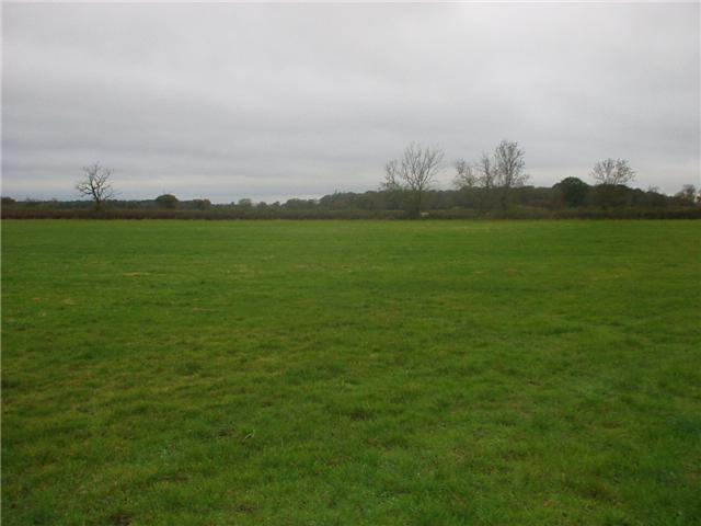 A view of Crown Hill from the Bosworth battlefield A view of Crown Hill from the Bosworth battlefield