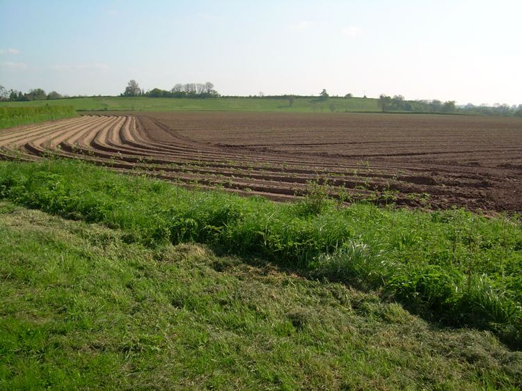 A view of the Parliamentarian deployment area on 'Old Nans' (Ordnance) Hill at Ripple A view of the Parliamentarian deployment area on 'Old Nans' (Ordnance) Hill at Ripple