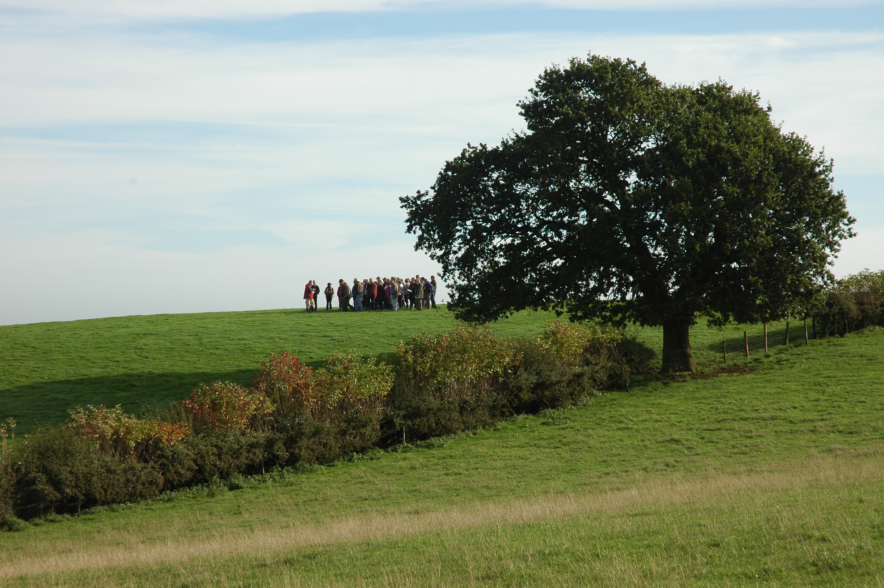 Members of the Guild of Battlefield Guides enjoy a superb view over Naseby battlefield