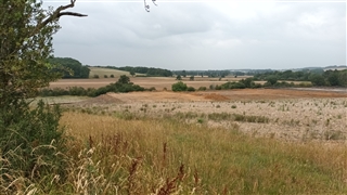 HS2 storing earth of the Edgcote battlefield (Photo: Graham Evans) HS2 storing earth of the Edgcote battlefield (Photo: Graham Evans)