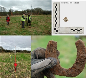 Images: Western Rebellion Battlefields Project. From top left. GPSing of a find, the piece of lead shot found during the survey, systematic surveying underway, and the 16th century horse-shoe find. Images: Western Rebellion Battlefields Project. From top left. GPSing of a find, the piece of lead shot found during the survey, systematic surveying underway, and the 16th century horse-shoe find.