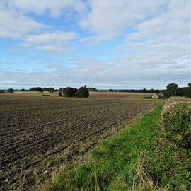 Winwick battlefield