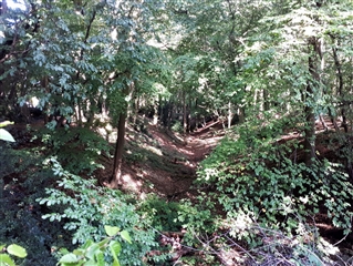 Beech Bottom Dyke St Albans fortified by the earl of Warwick at the second battle of St Albans