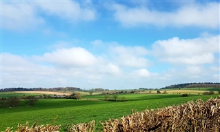 Cheriton - Looking east from the parliamentarian lines on East Down - Photo: Julian Humphrys