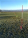 Stow metal detecting survey markers