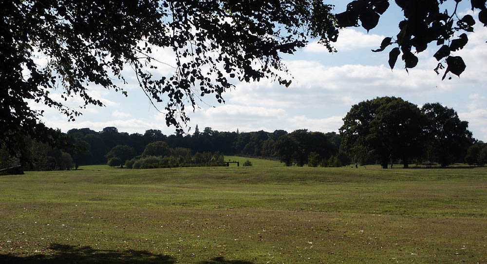 Looking South West From The Abbey Towards The Eleanor Cross, On The 