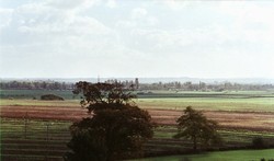 View of the battlefield across Sedgemoor from Chedzoy church tower.
