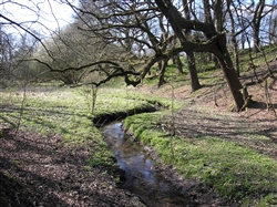 Newton Brook and banking