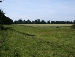 When the English army advanced across Myton Pastures it was an open expanse of meadow but today only a tiny fragment of grassland remains. The rest is now under arable and there are hedges and trees to obscure the view. On the left is the massive flood protection bank against the river Swale which now makes it possible to cultivate this low lying floodplain area.