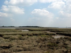 Northey Island from the flood bank =, looking east
