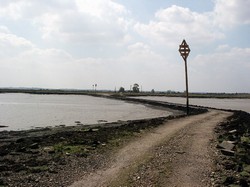 Causeway from Northey Island looking west