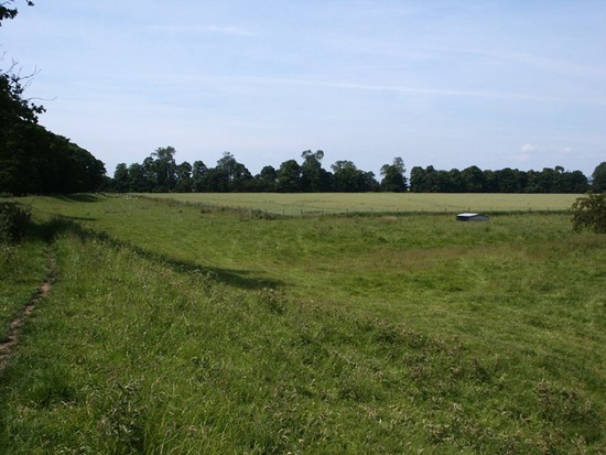 Surviving grassland on Myton Pastures