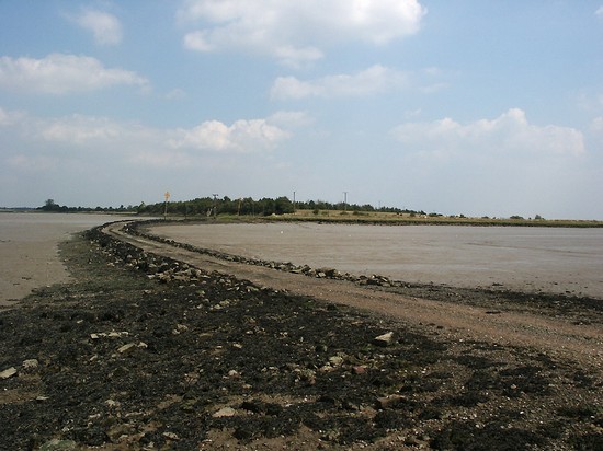 Causeway to Northey Island looking E